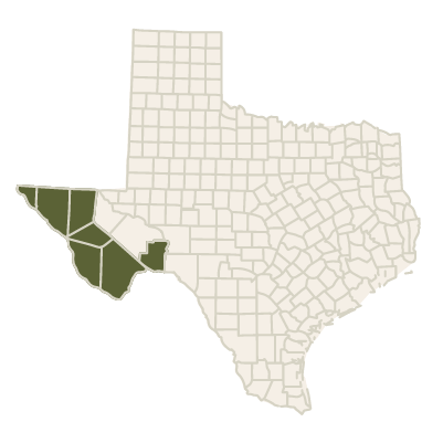 Graphic of Texas counties map showing highlighted counties in the Western Rio Grande Valley area