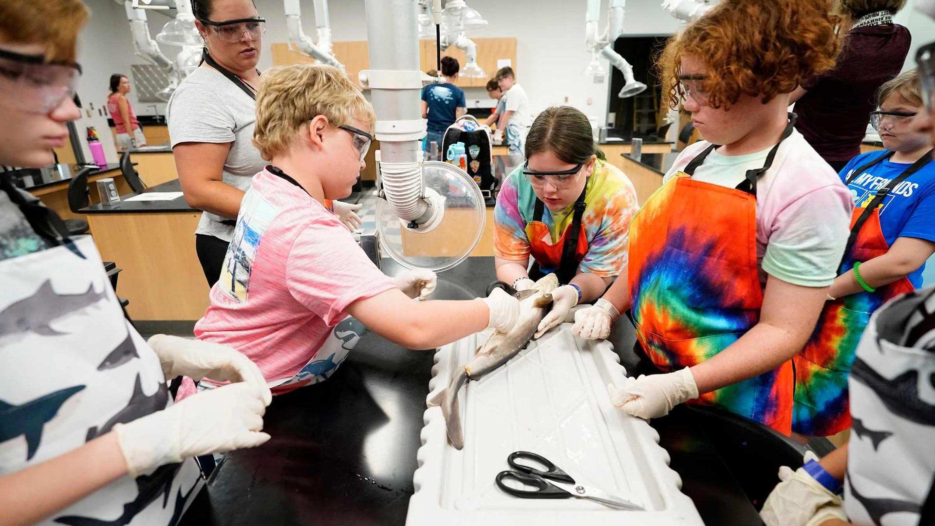 Young students wearing lab safety gear inspect fish anatomy
